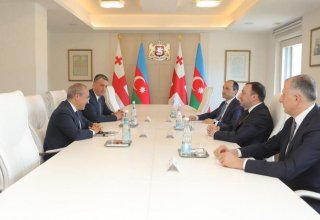 Mikayıl Cabbarov Gürcüstanın Baş naziri İrakli Qaribaşvili ilə görüşüb