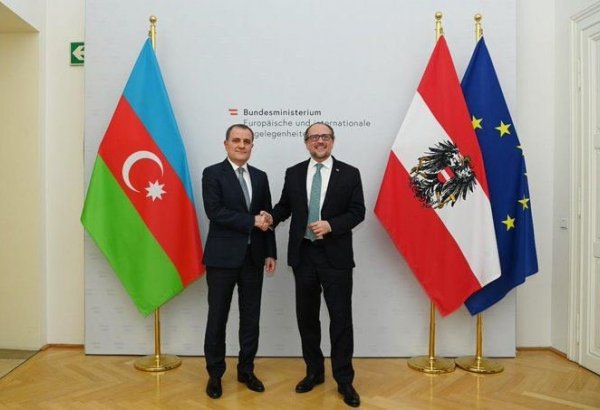 Azerbaijani, Austrian FMs hold meeting