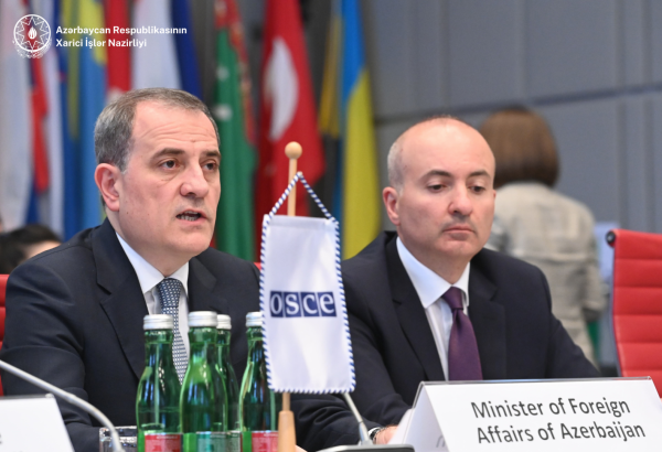 OSCE must be flexible and adaptive in order to maintain its relevance in rapidly changing environment - FM