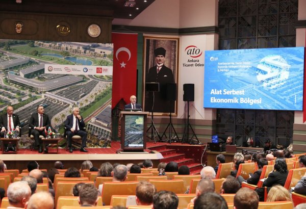 Azerbaijan's Alat Free Economic Zone attracts Turkish companies