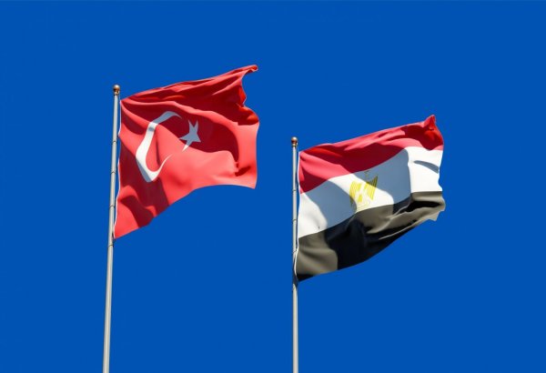Главы МИД Турции и Египта обсудили двусторонние отношения