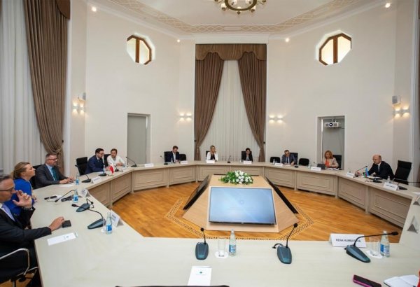 Обсуждены перспективы сотрудничества между Азербайджаном и Польшей в сфере энергетики