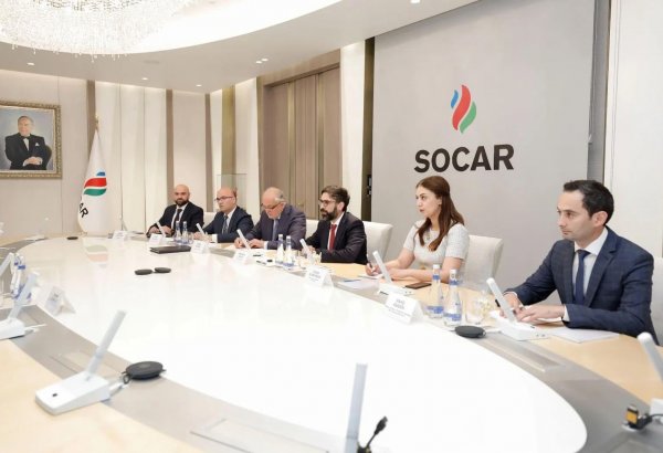 SOCAR-ın prezidenti OPEC-in baş katibi ilə görüşüb