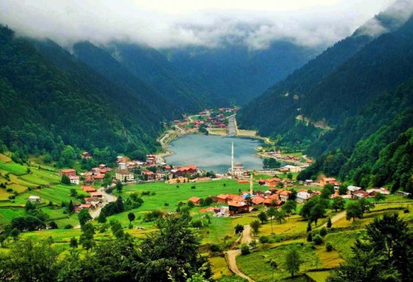 Azərbaycanın turizm agentlikləri Trabzonun sağlamlıq turizmi imkanları ilə tanış olublar
