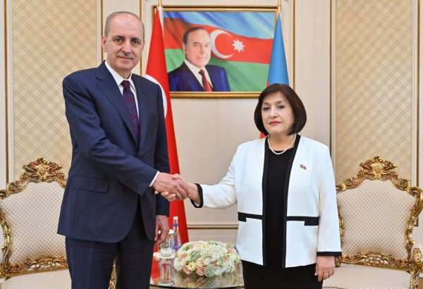 Спикер парламента Азербайджана встретилась со спикером Великого национального собрания Турции