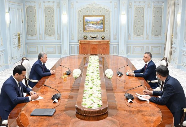 TBMM Dışişleri Komisyonu Başkanı Oktay, Özbekistan Cumhurbaşkanı Mirziyoyev ile görüştü