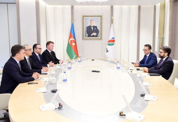 SOCAR, ACWA Power discuss further joint steps towards renewable energy dev't