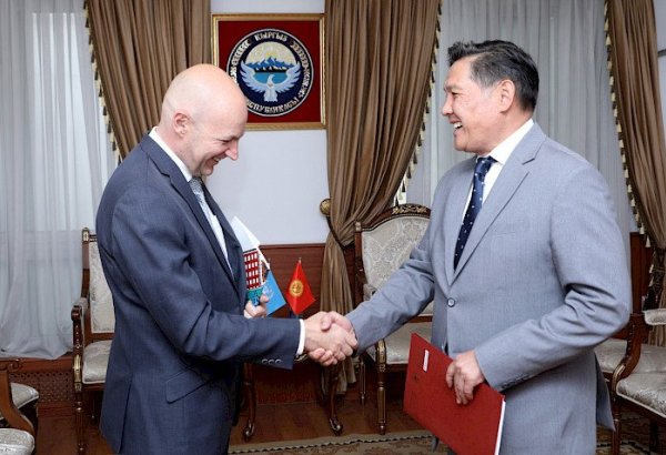 Замглавы МИД Кыргызстана принял нового руководителя странового офиса ВОЗ в КР