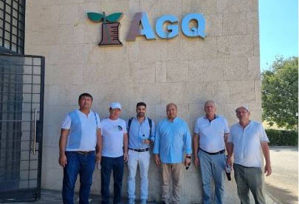 Uzbekistan delegation in Spain studied the best practices in the cotton industry and seed production