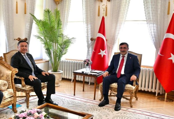 TDT-nin Baş katibi Türkiyənin vitse-prezidenti ilə görüşüb