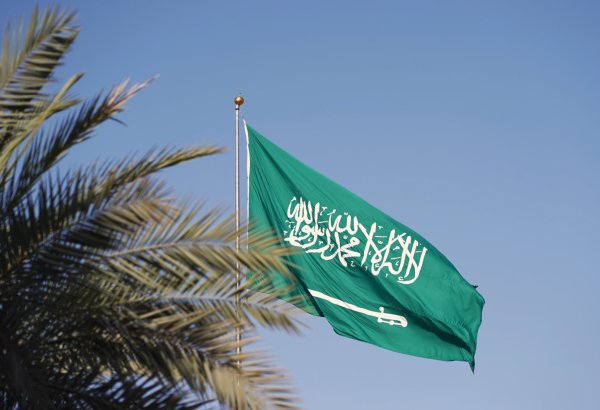 Saudi Arabia appoints ambassador to Palestine