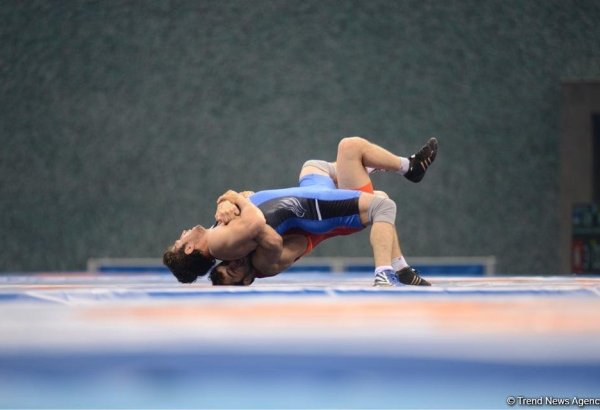 Азербайджанские борцы завоевали три бронзовые медали на международных соревнованиях