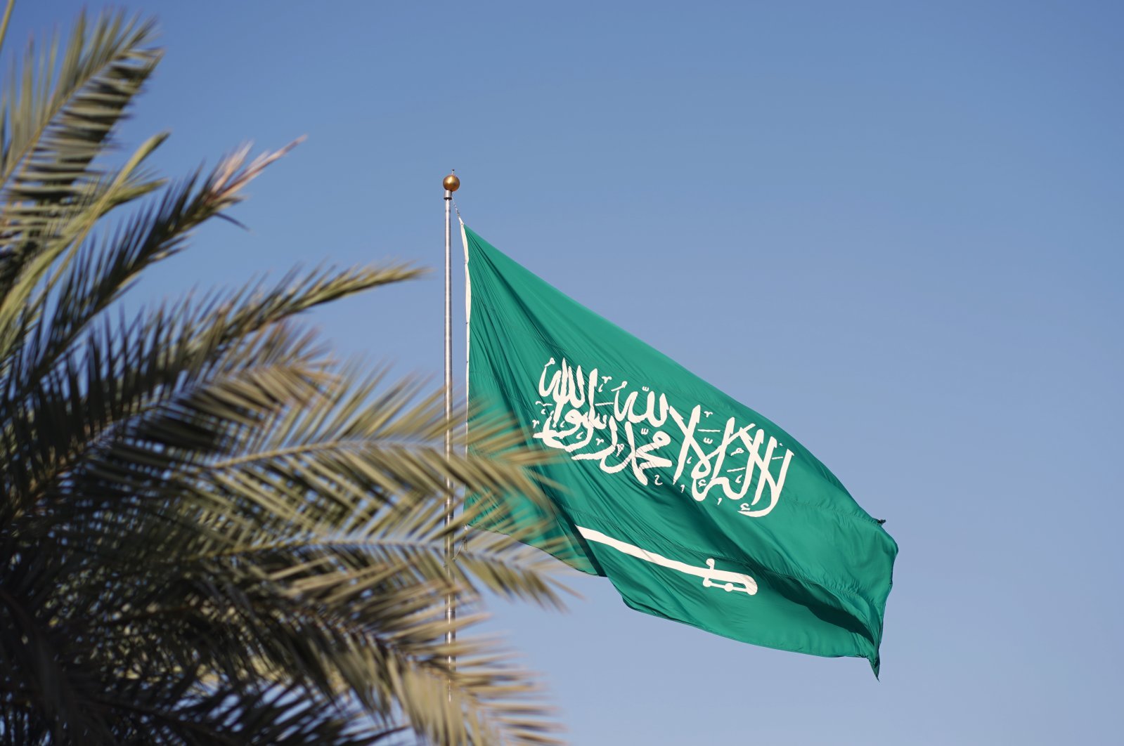 Saudi Arabia appoints ambassador to Palestine