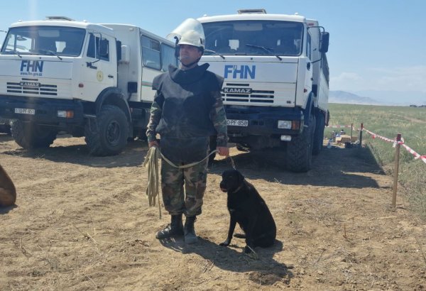 Aptly trained dogs also contribute to demining of territories in Azerbaijan