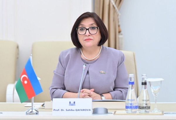 Azerbaijani Chair of Parliament receives Belgian FM