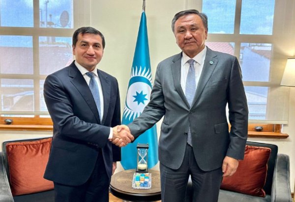Assistant to President of Azerbaijan meets with OTS Secretary General