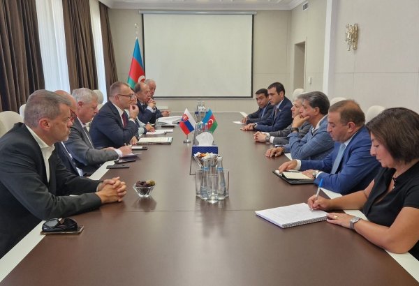 Slovak delegation visits Azerbaijan's Shusha, Fuzuli and Aghdam