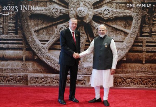 G20 Summit kicks off in India