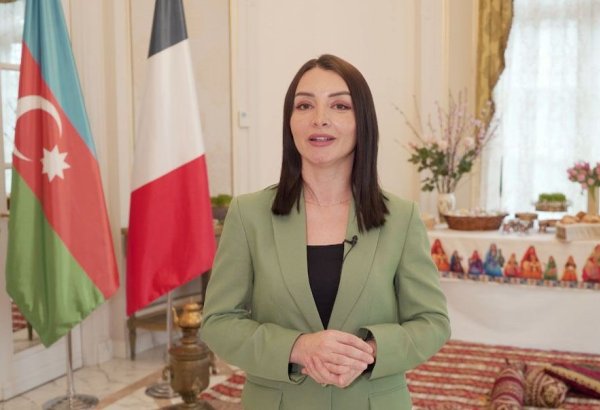 Посол Азербайджана во Франции рассказала журналистам об антитеррористических мероприятиях в Карабахе