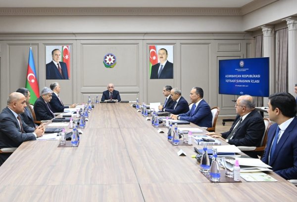 Azerbaijan holds meeting of Economic Council