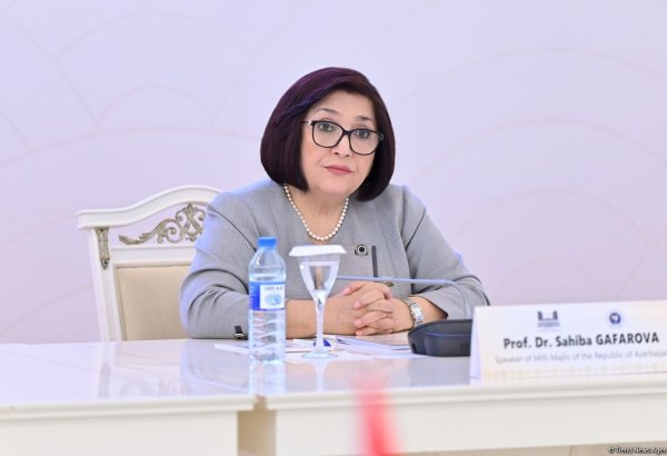 Azerbaijani Parliamentary speaker details anti-terrorist measures at APA meeting