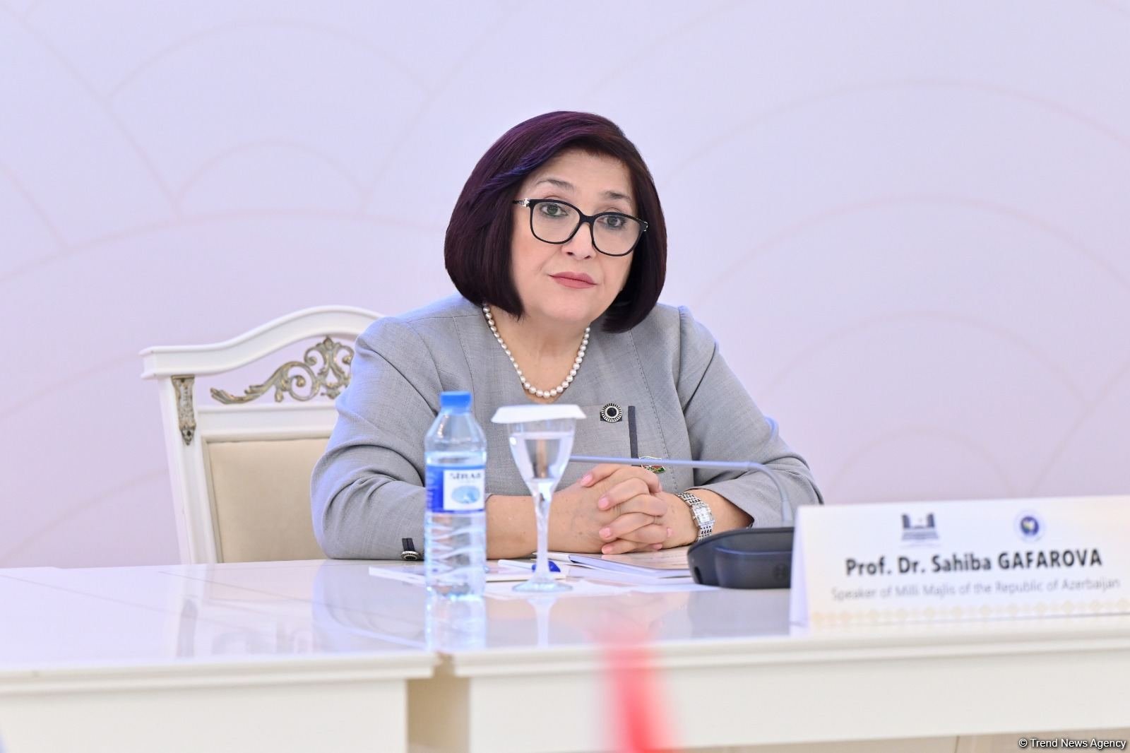Azerbaijani Parliamentary speaker details anti-terrorist measures at APA meeting