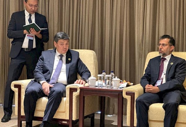 Deputy  head of Kyrgyz Cabinet holds talks with UAE energy minister in Beijing