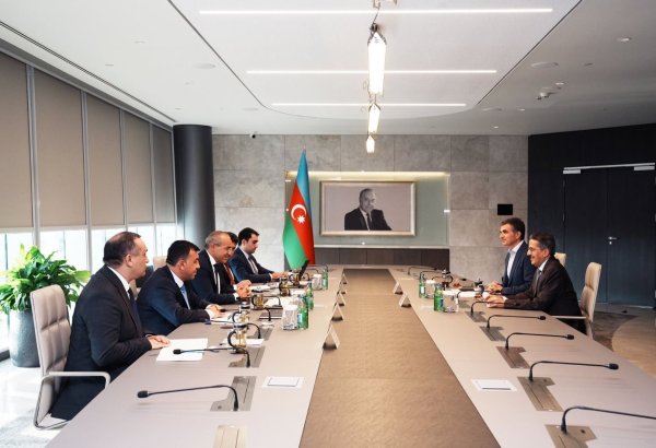 Azerbaijan, ACWA Power assess potential for broader green energy co-op