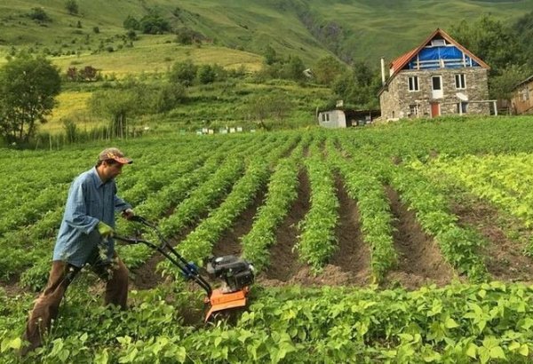 Farmers in Azerbaijan's Karabakh to be provided with subsidies and exemptions from taxes