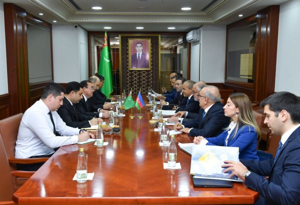 Azerbaijan, Turkmenistan review potential areas of cooperation in energy industry