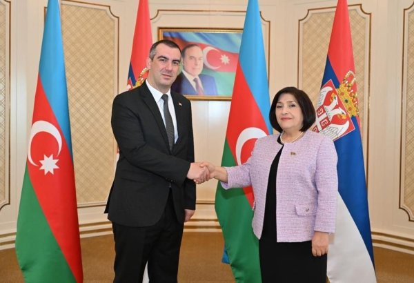 Сахиба Гафарова встретилась с председателем Народной скупщины Сербии