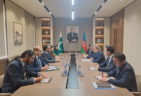 Azerbaijan, Pakistan intend to further strengthen economic co-op, FM says
