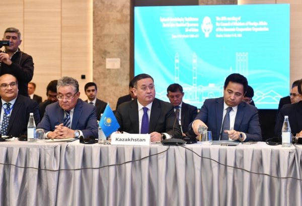 ECO should play more important strategic role in regional dev't - Kazakh FM