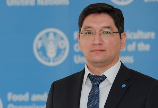 ФАО стремится обеспечить процветание и устойчивость сельского хозяйства в Узбекистане -  Шерзод Умаров