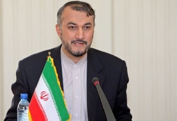 Iran interested in creating electricity supply network between countries regionwide - FM