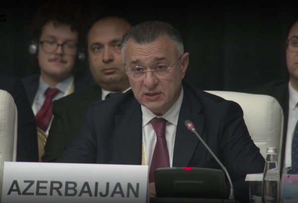 Министр здравоохранения Азербайджана ответил на необоснованные обвинения представителей Франции и Армении