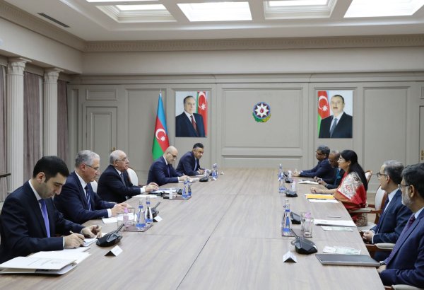 Али Асадов и Ануприя Патель обсудили перспективы развития азербайджано-индийских отношений
