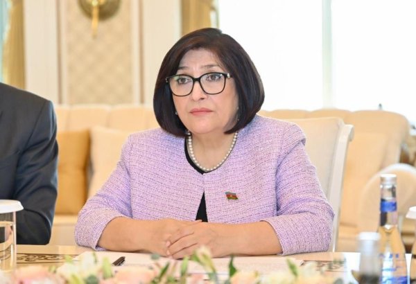 Speaker of Azerbaijani Parliament visits Türkiye