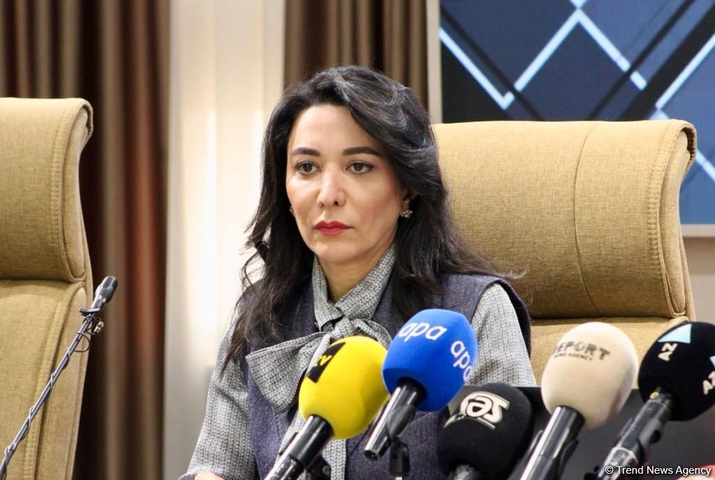 Ненависть Армении в отношении азербайджанцев усиливается - Сабина Алиева