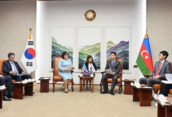 Azerbaijan, South Korea can interact in new formats of co-op - parliament speaker
