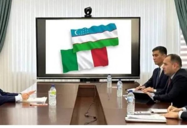 Joint plans for developing cooperation between Uzbekistan and Italy discussed