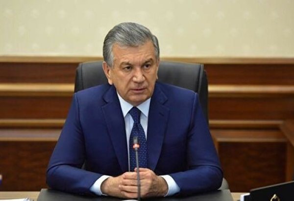 Uzbekistan's President urges setting up International Expo-hub of Climate Technologies