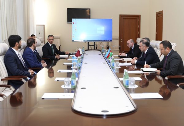 В минздраве Азербайджана состоялась встреча с руководителями ряда ведущих международных компаний в сфере медицины