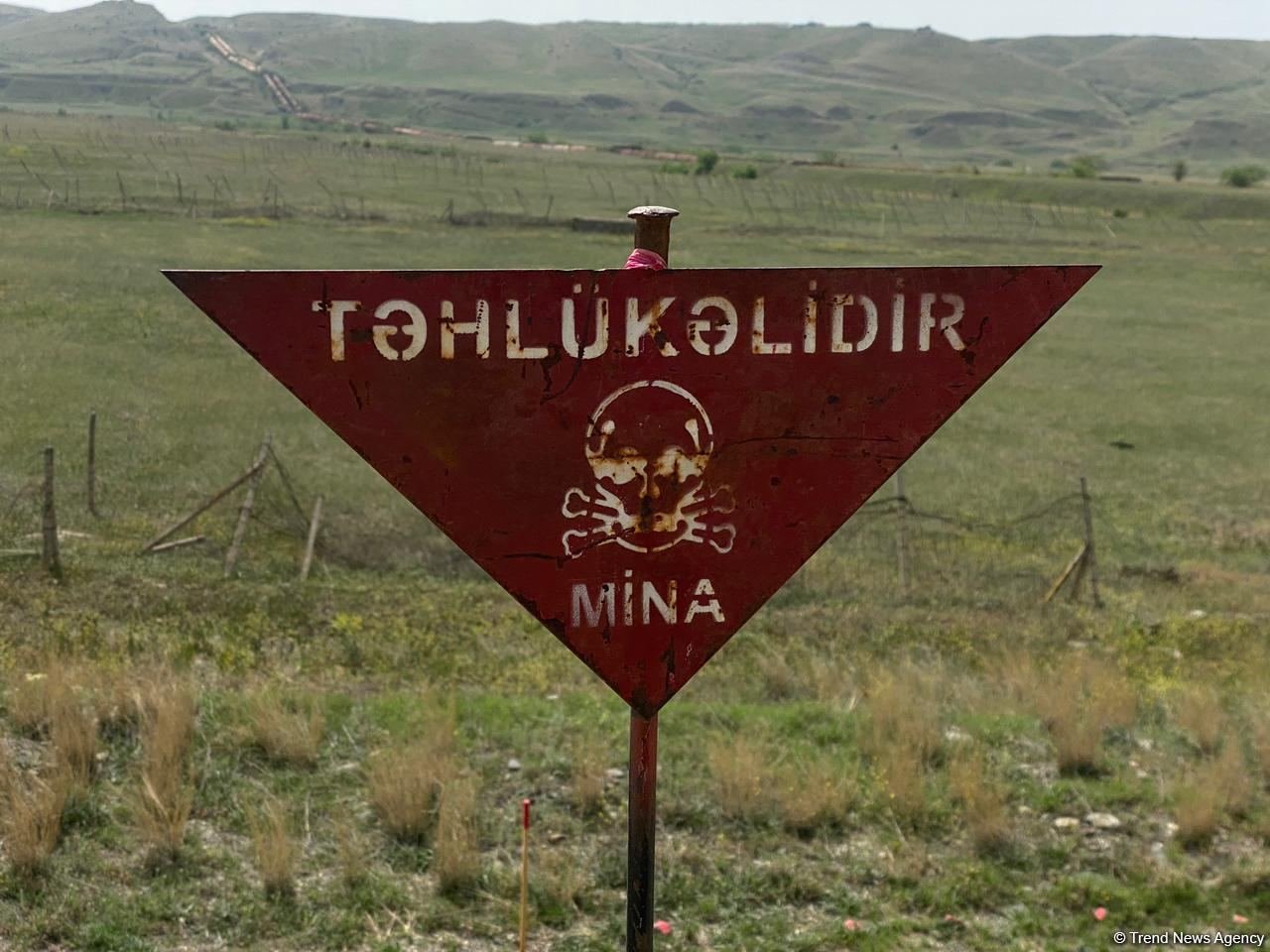 Mina terrorunun yaratdığı faciələr dünya icitmaiyyətinə təkrar çatdırılmalıdır - Türkiyəli general