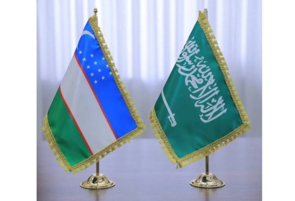 Prospects for further developing cooperation between Uzbekistan and Saudi Arabia discussed