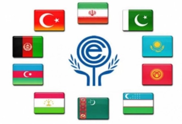 Progress of Uzbekistan’s activity in the ECO