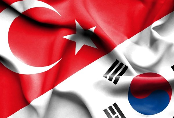 Cənubi Koreya Türkiyə ilə əməkdaşlığı artırmaq istəyir