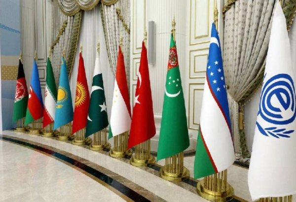 О сотрудничестве Узбекистана и ОЭС