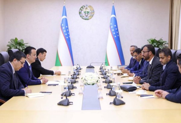 Еще одна компания ОАЭ планирует реализовать новые проекты в Узбекистане