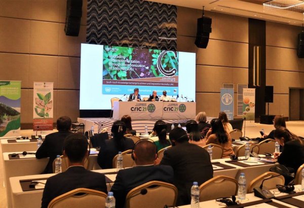 FAO highlights the Recarbonization of Soils at the CRIC21
